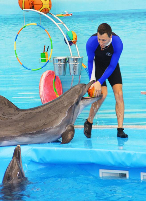 dolphin-show-1